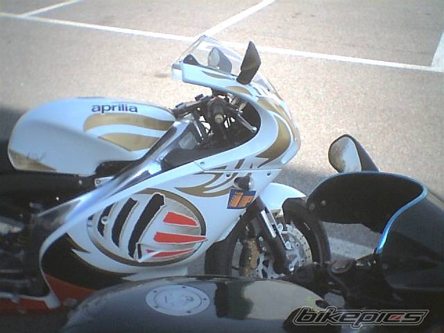 2004 APRILIA RS 125 | Picture 342410 motorcycle photo