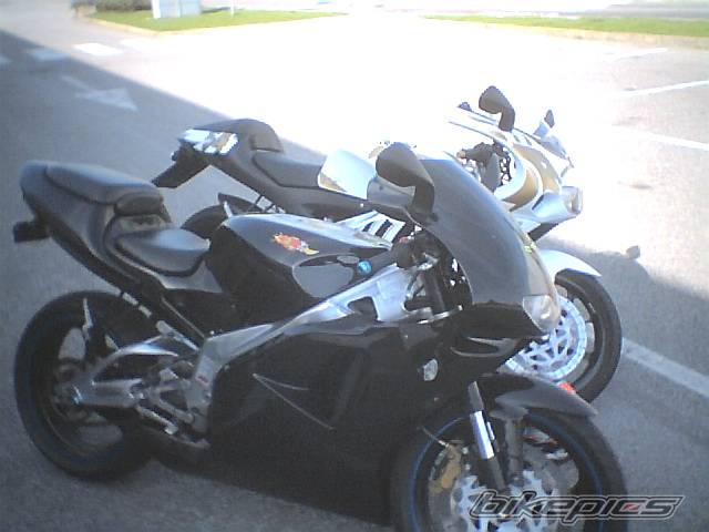 2004 APRILIA RS 125 | Picture 342415 motorcycle photo