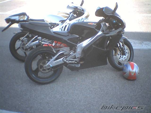2004 APRILIA RS 125 | Picture 342427 motorcycle photo
