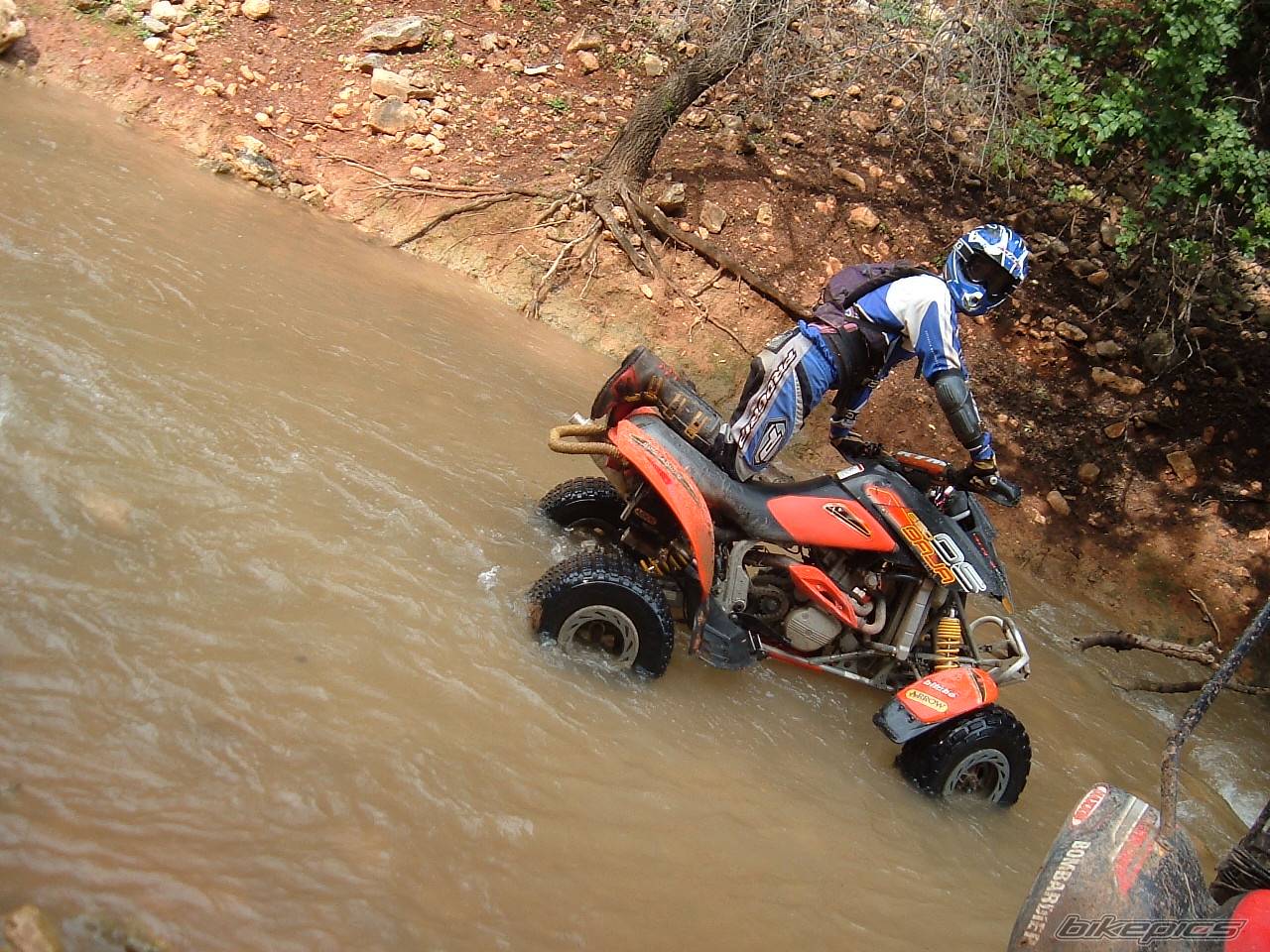 2003 BOMBARDIER DS650 BAJA | Picture 342627 motorcycle photo