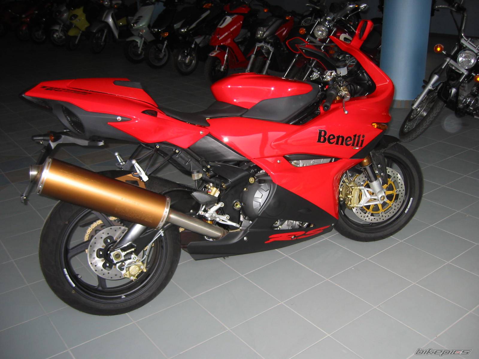 2004 BENELLI TORNADO 900 RS | Picture 342993 motorcycle photo