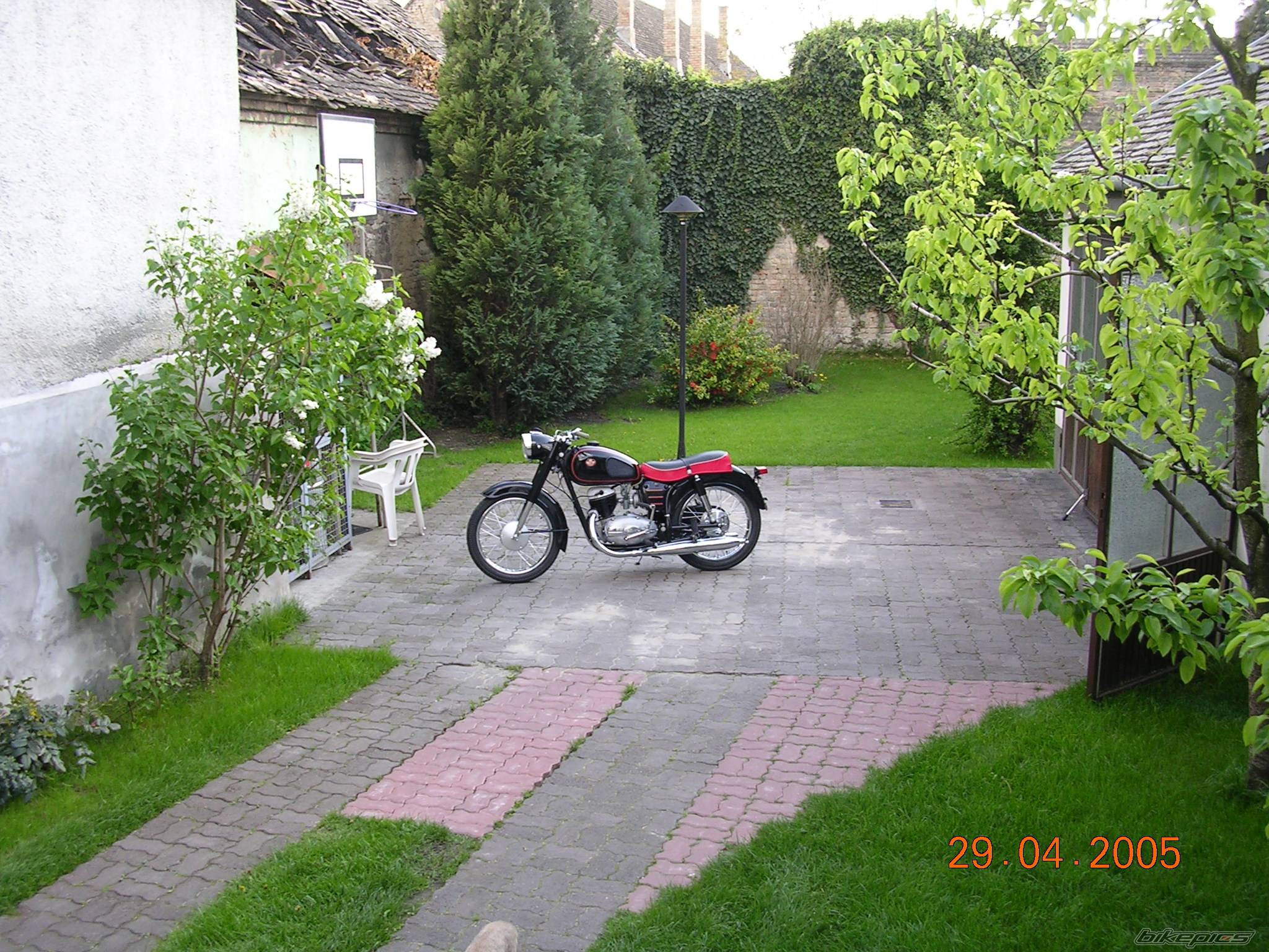 1966 PANNONIA T5 | Picture 343012 motorcycle photo