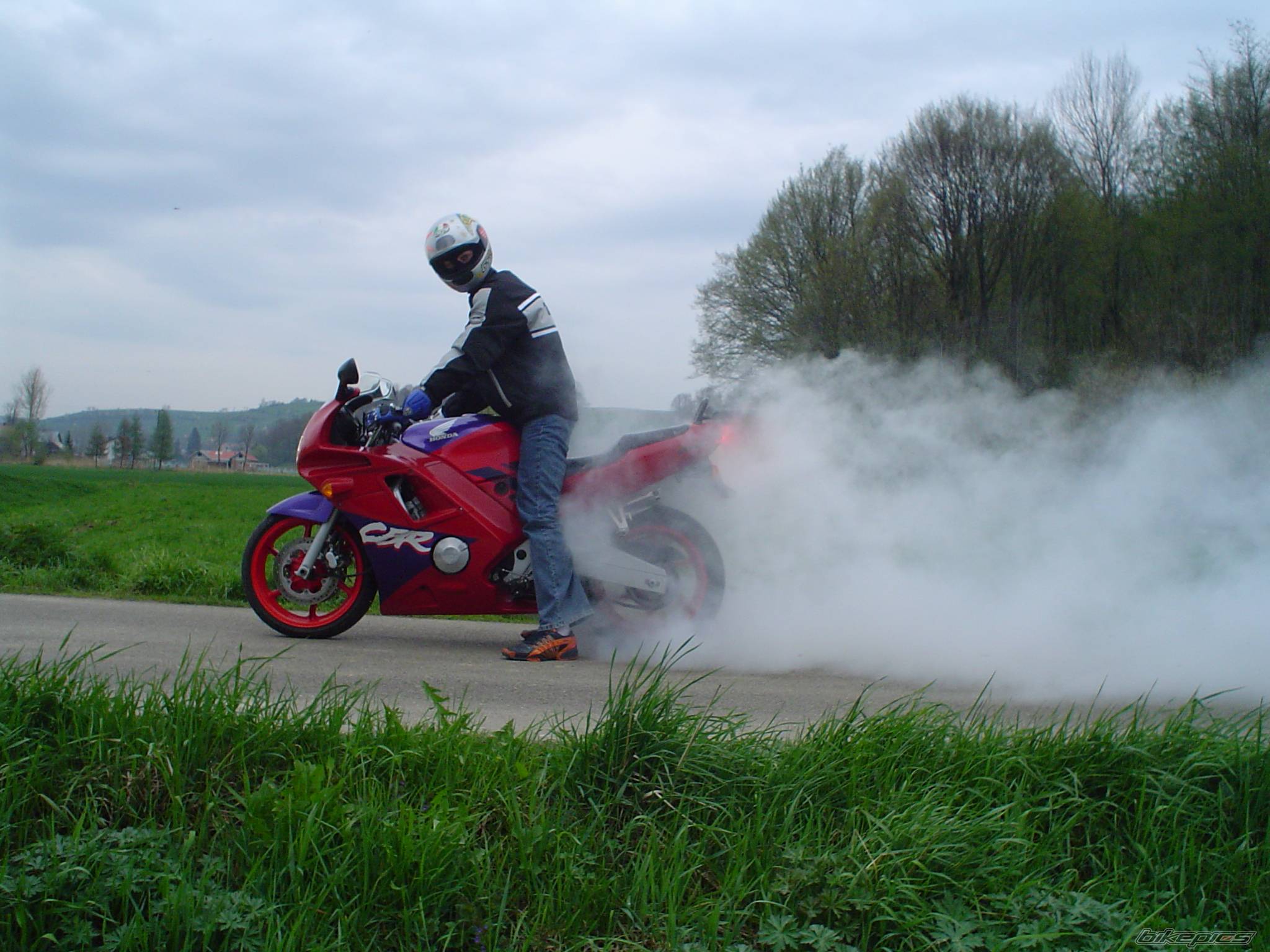 1993 HONDA CBR 600 | Picture 343099 motorcycle photo