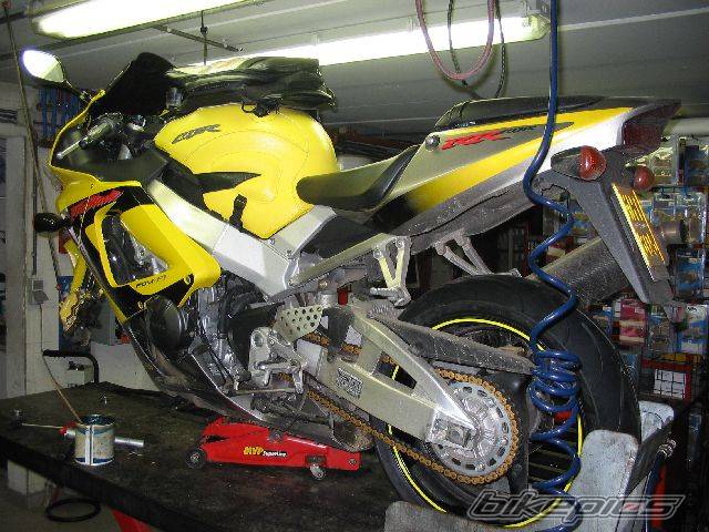 2001 HONDA CBR 900 | Picture 343136 motorcycle photo