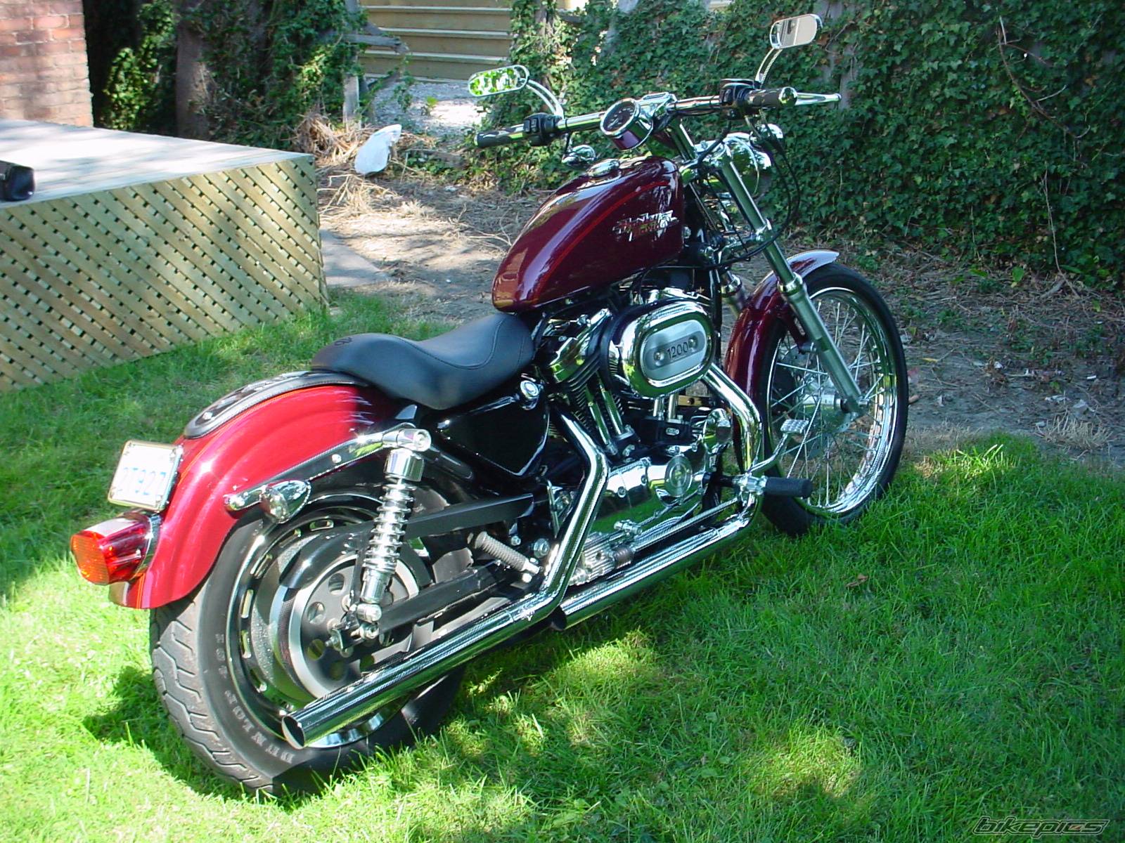 2002 HARLEY DAVIDSON XL 1200 C | Picture 34323 motorcycle photo
