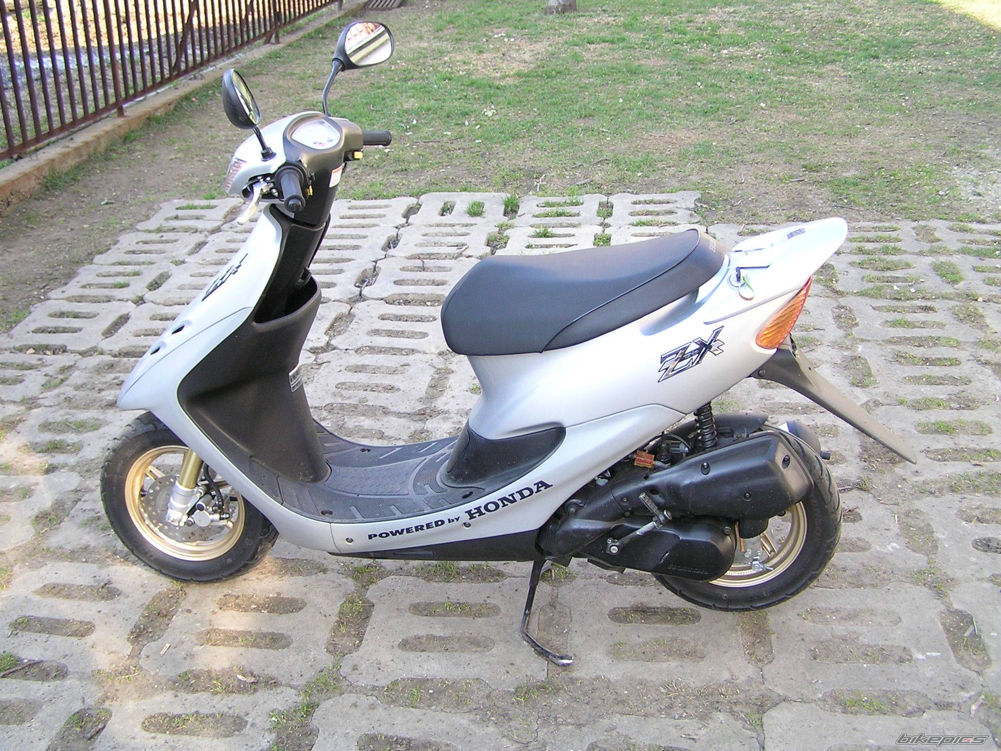 1999 HONDA DIO ZX | Picture 343298 motorcycle photo