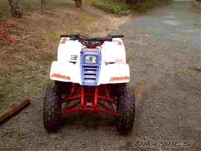 1999 KAWASAKI MOJAVE | Picture 34331 motorcycle photo