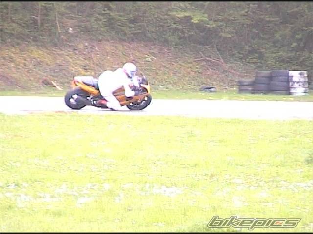 1998 TRIUMPH DAYTONA 955I | Picture 343545 motorcycle photo