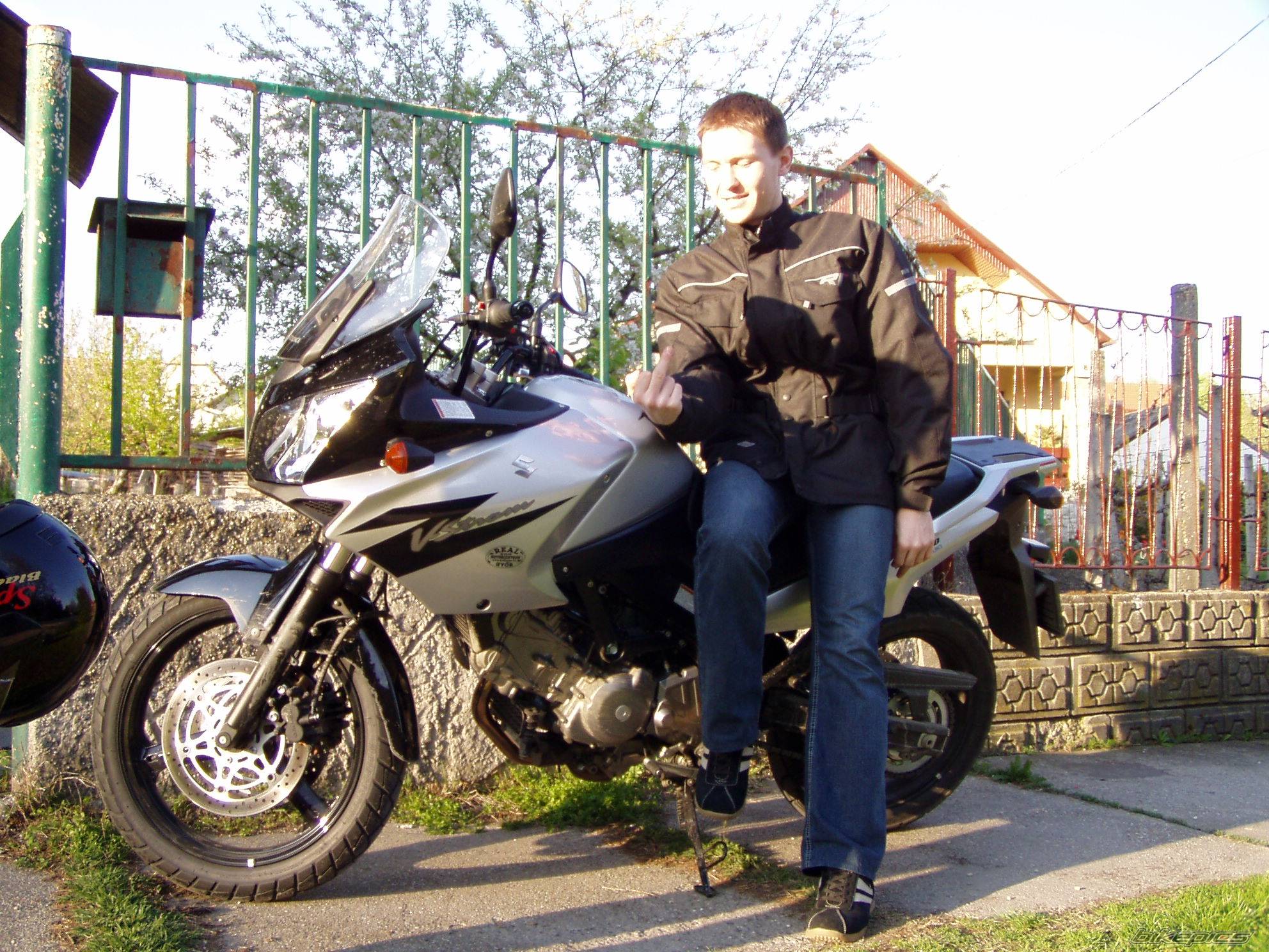 2005 SUZUKI DL 650 | Picture 343753 motorcycle photo
