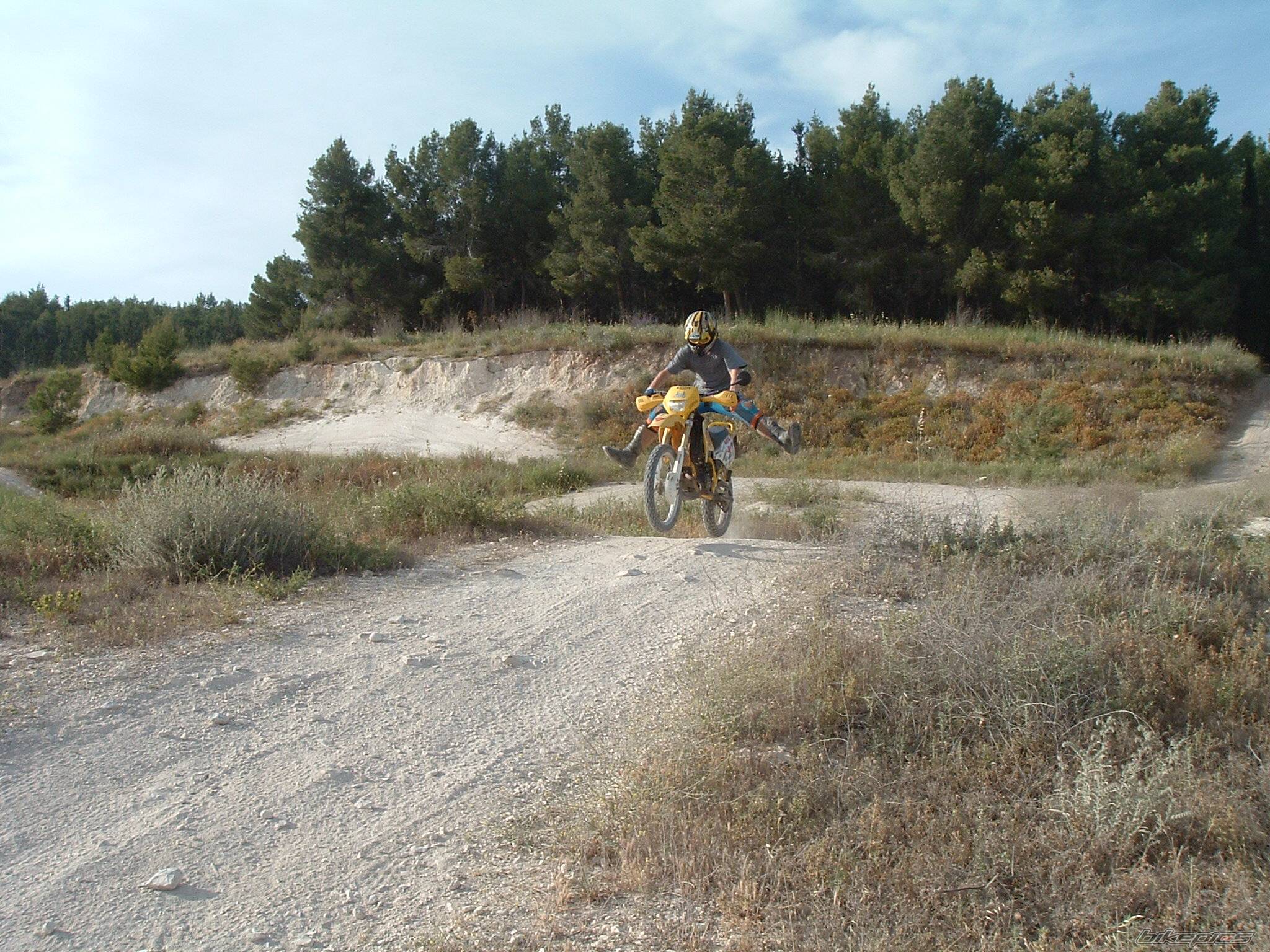 1999 SUZUKI RMX 50 | Picture 343853 motorcycle photo