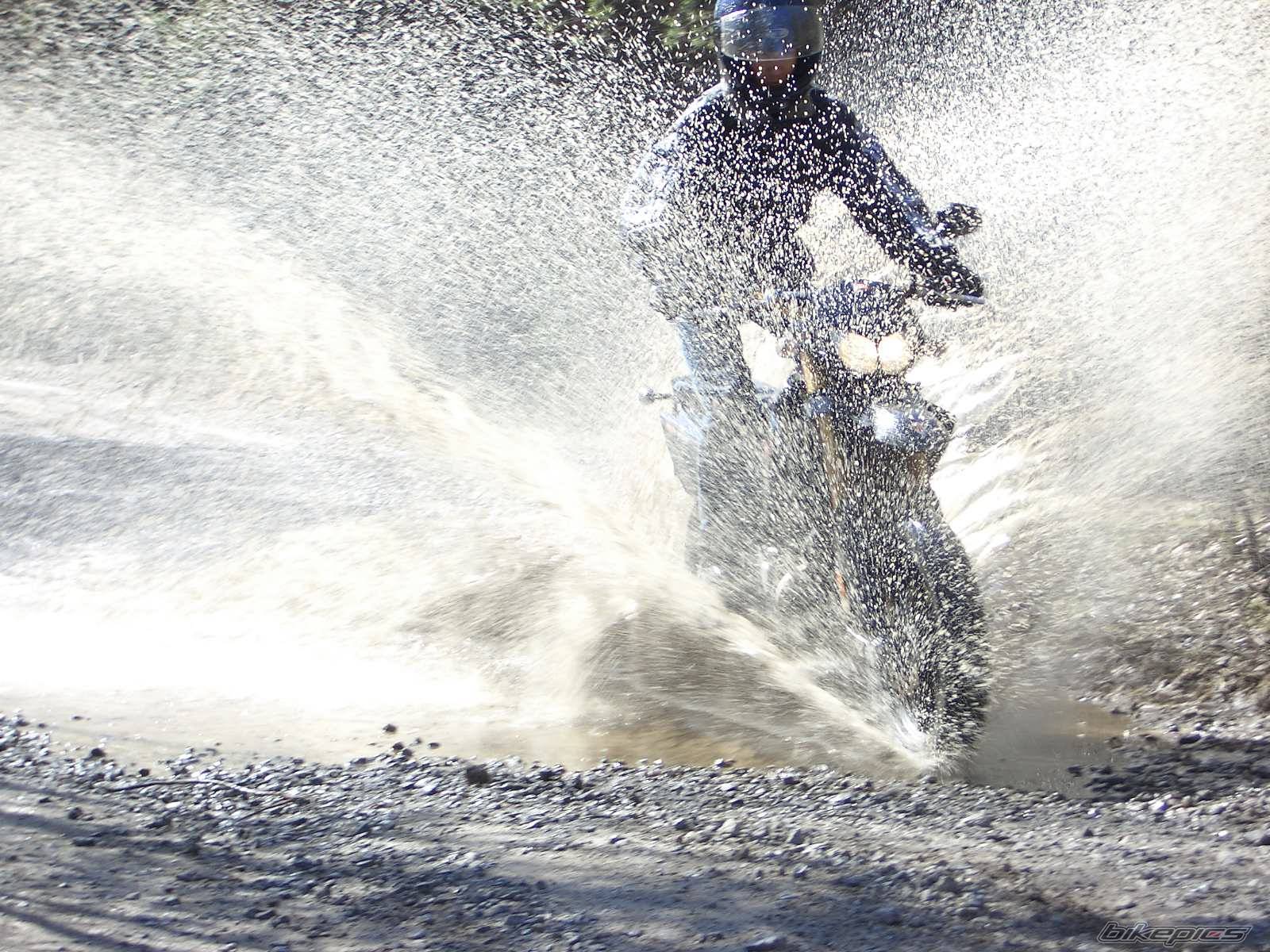 2005 DERBI SENDA DRD SM 50 | Picture 344108 motorcycle photo