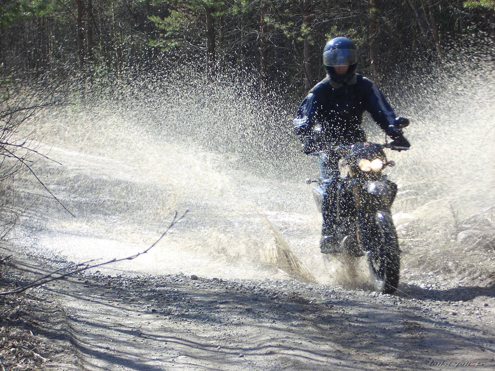 2005 DERBI SENDA DRD SM 50 | Picture 344111 motorcycle photo