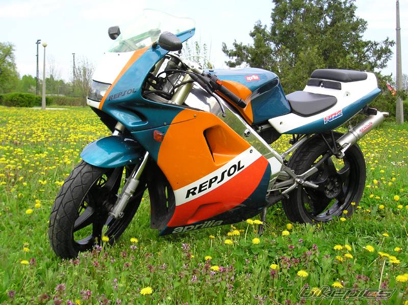 1992 APRILIA AF1 FUTURA 125 | Picture 344143 motorcycle photo
