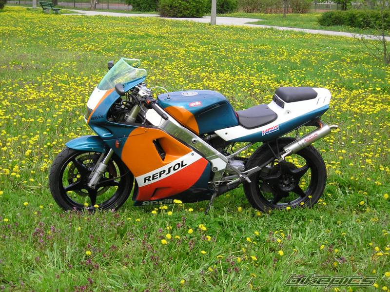 1992 APRILIA AF1 FUTURA 125 | Picture 344144 motorcycle photo