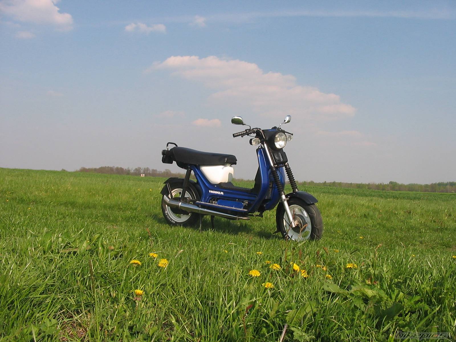 1986 SIMSON SR 50 | Picture 344511 motorcycle photo