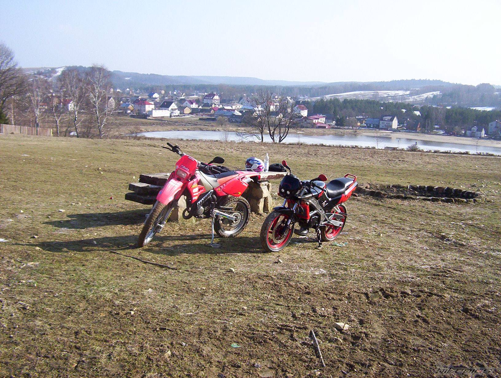 1998 BETA RR 50 | Picture 344738 motorcycle photo