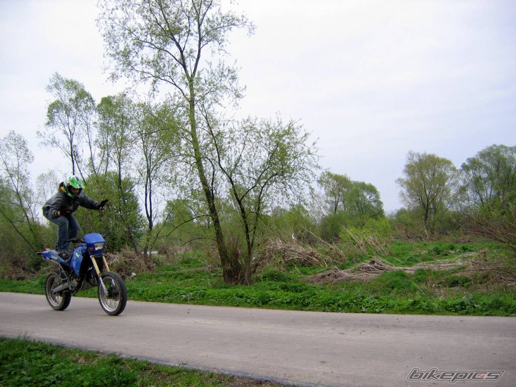 1999 DERBI SENDA SM 50 | Picture 344811 motorcycle photo