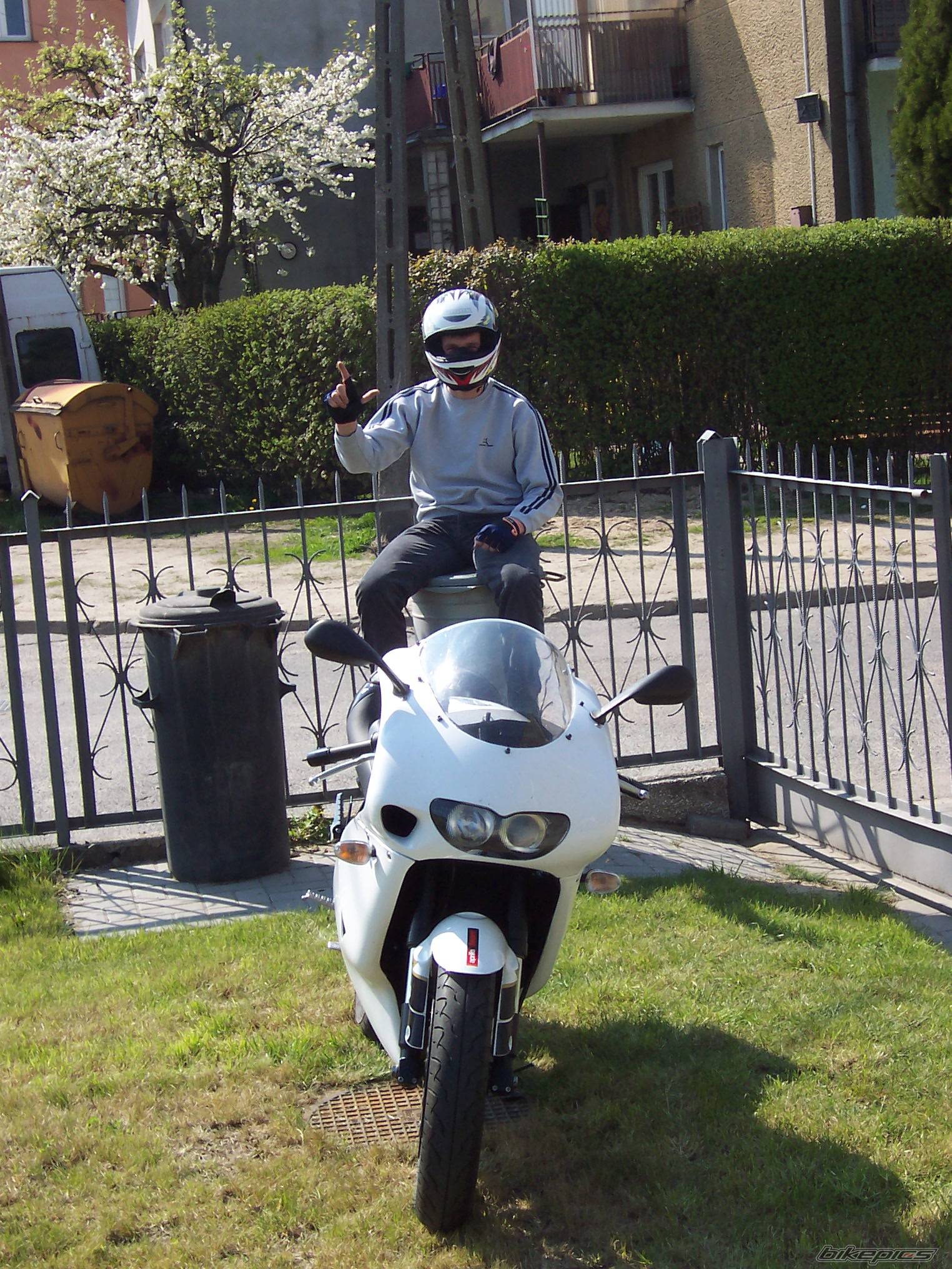 2004 APRILIA RS 125 | Picture 344992 motorcycle photo