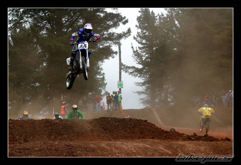 2005 YAMAHA YZ 250F | Picture 345059 motorcycle photo