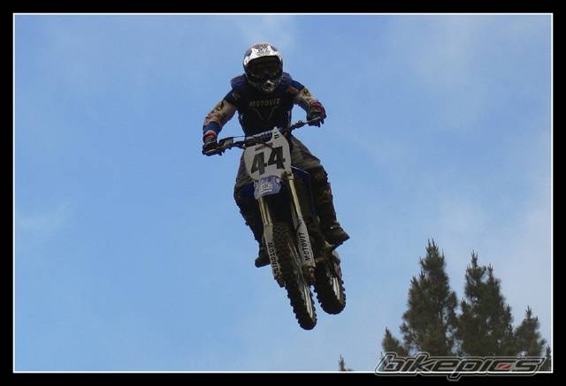2005 YAMAHA YZ 250F | Picture 345063 motorcycle photo