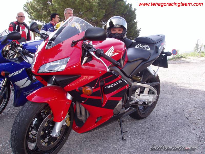 2003 HONDA CBR 600 | Picture 345168 motorcycle photo