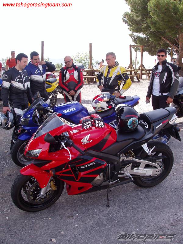 2003 HONDA CBR 600 | Picture 345173 motorcycle photo