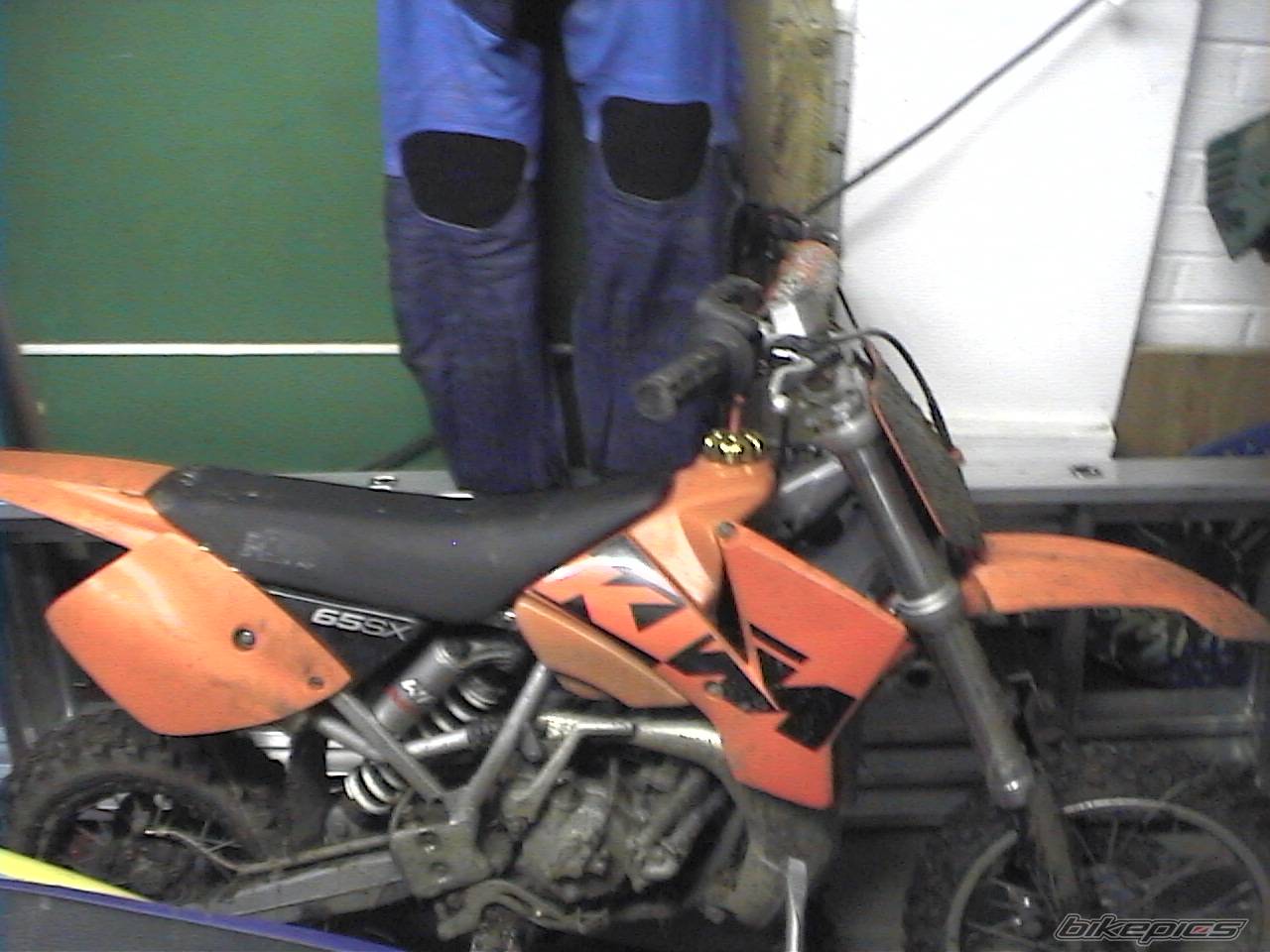 2003 KTM 65 SX | Picture 345178 motorcycle photo