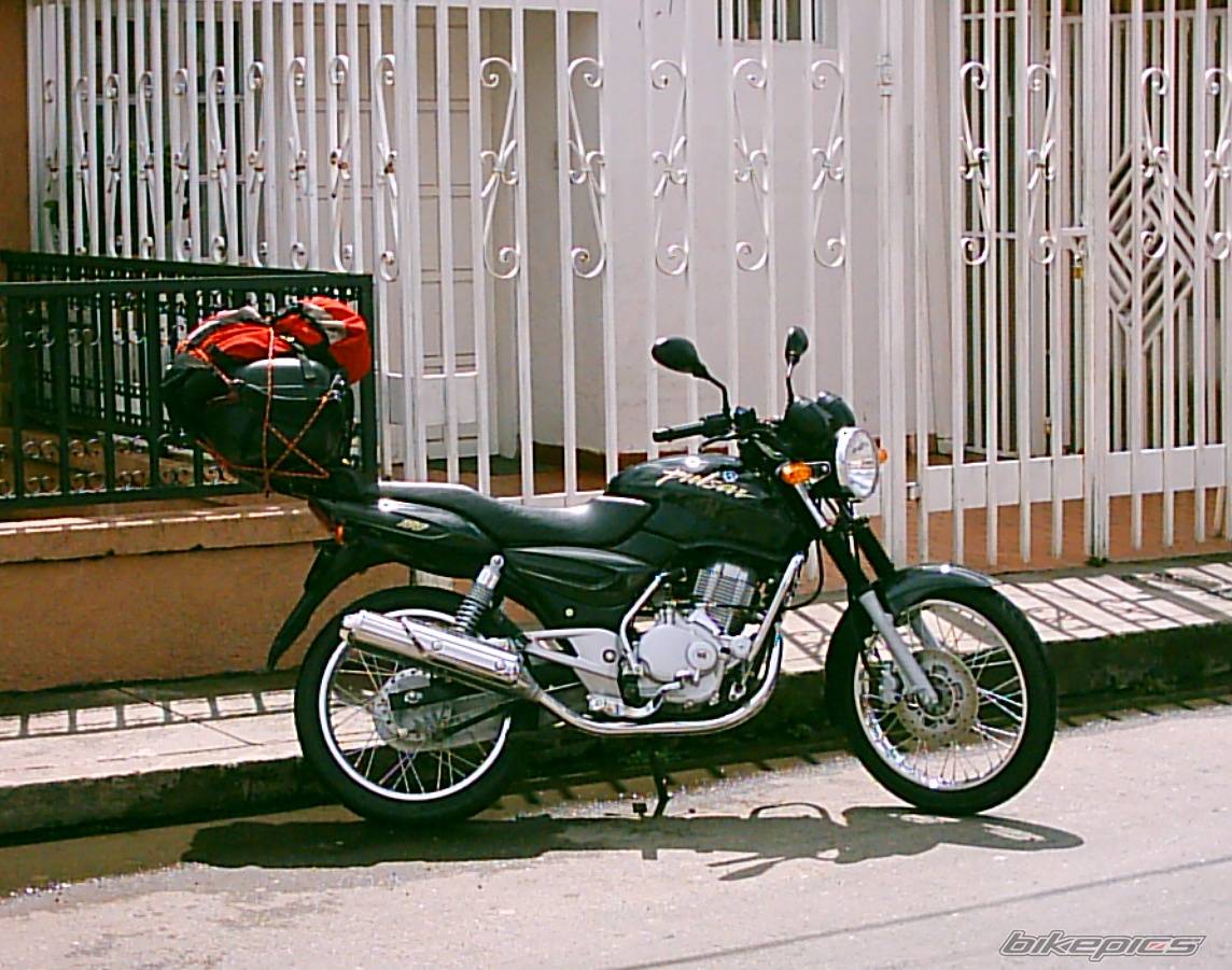 2004 BAJAJ PULSAR 180 | Picture 345350 motorcycle photo