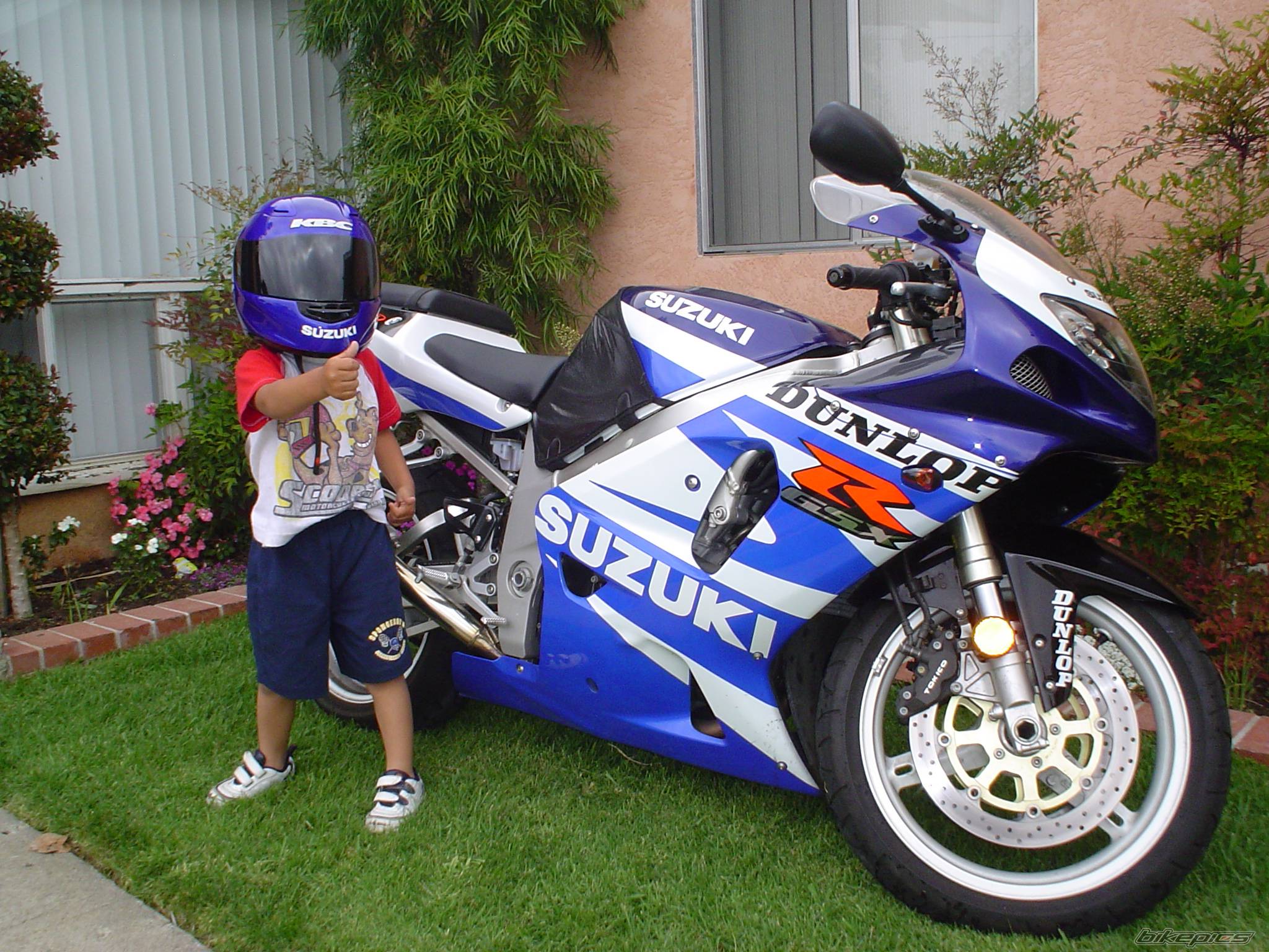2002 SUZUKI GSX R 750 | Picture 345470 motorcycle photo