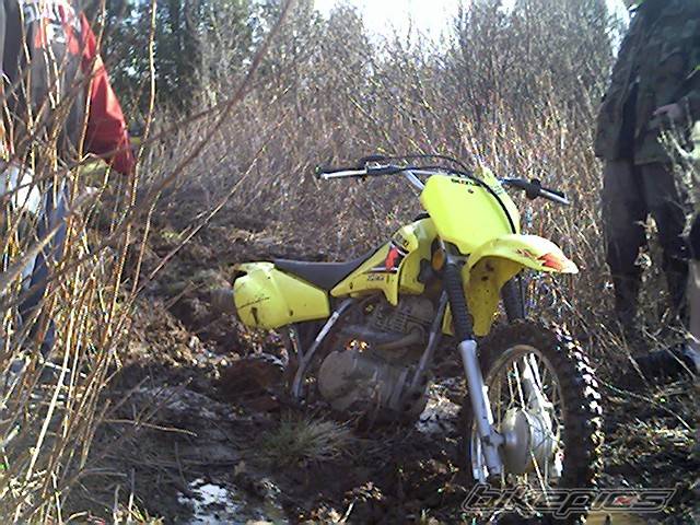 2003 SUZUKI DRZ 125 | Picture 345474 motorcycle photo