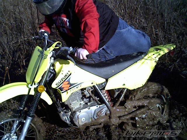 2003 SUZUKI DRZ 125 | Picture 345475 motorcycle photo