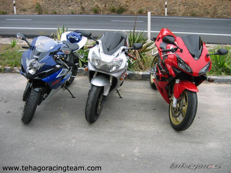 2001 HONDA CBR 900 | Picture 346030 motorcycle photo