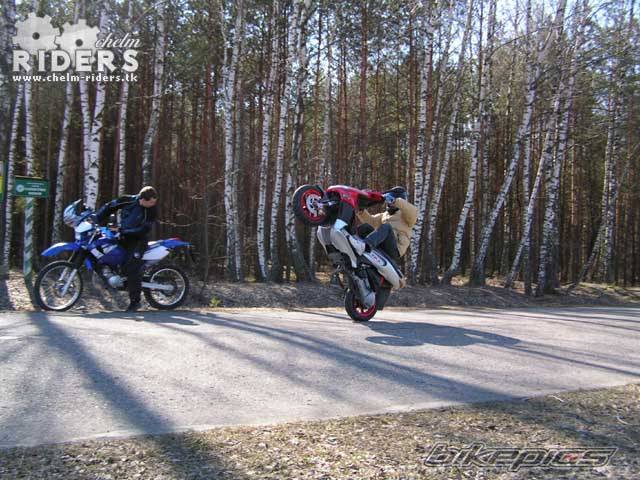 2002 GILERA RUNNER 50 | Picture 346410 motorcycle photo