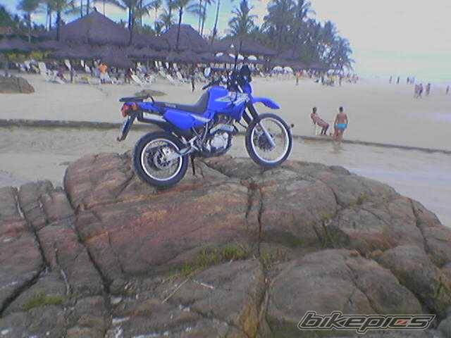 2001 YAMAHA XT 600 | Picture 346418 motorcycle photo