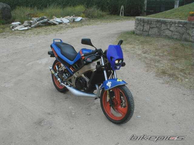 1989 HONDA NSR 125 | Picture 3465 motorcycle photo