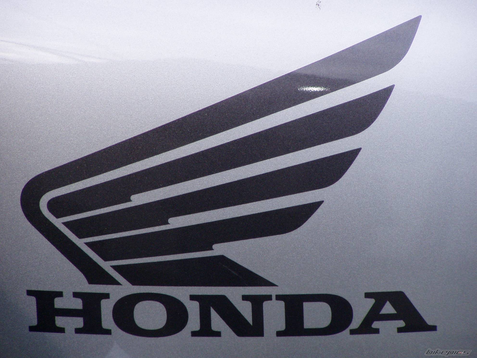 2005 HONDA CBR 1100 BLACKBIRD | Picture 346709 motorcycle photo