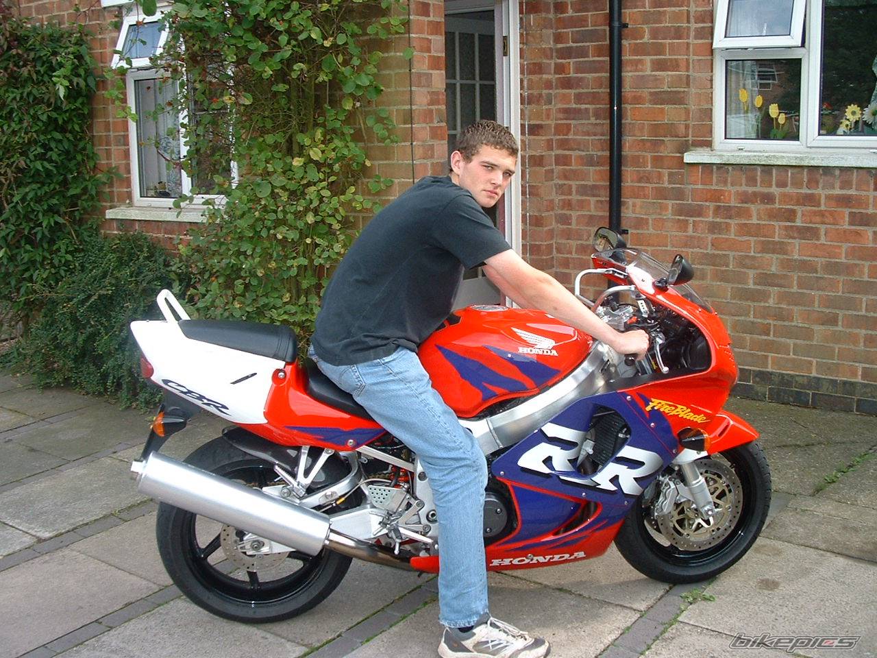 1998 HONDA CBR 900 | Picture 34682 motorcycle photo