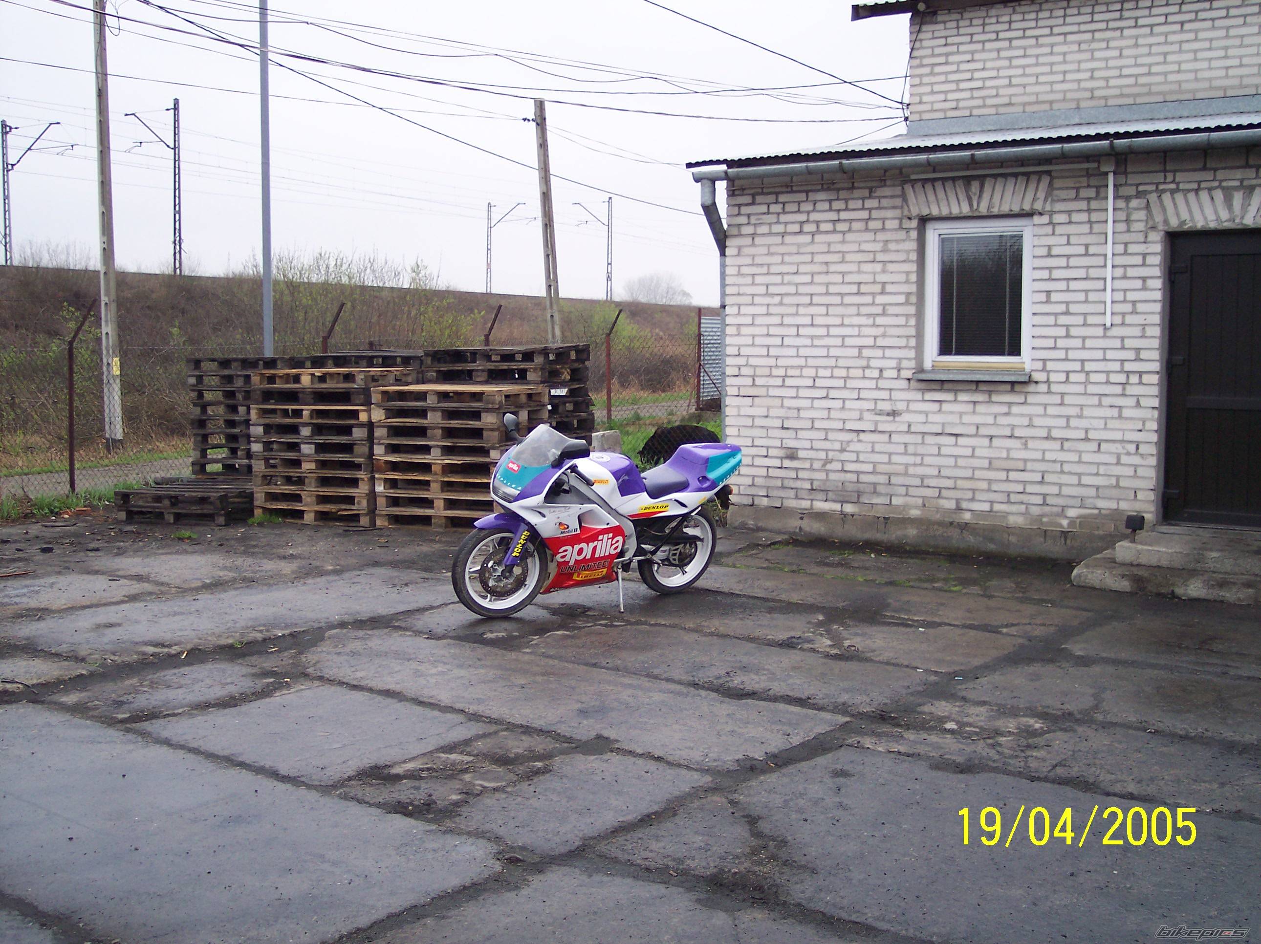 1992 APRILIA AF1 FUTURA 50 | Picture 346911 motorcycle photo