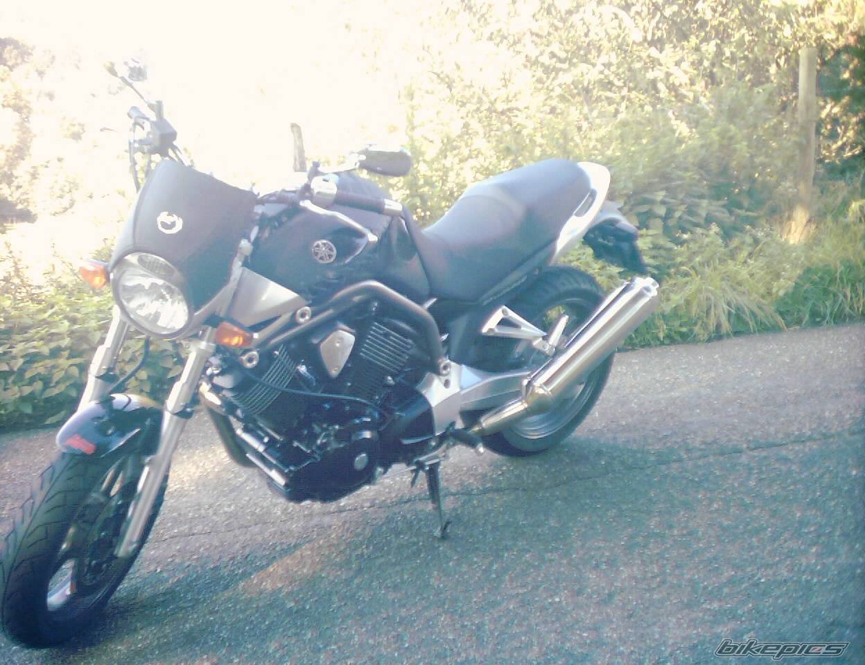 2004 YAMAHA BULLDOG | Picture 347004 motorcycle photo