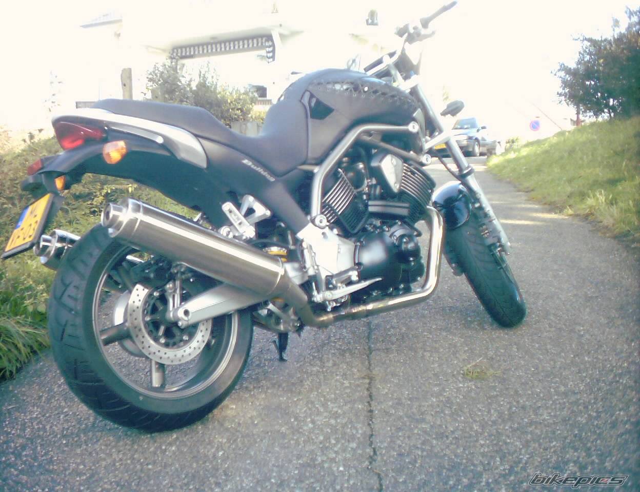 2004 YAMAHA BULLDOG | Picture 347011 motorcycle photo