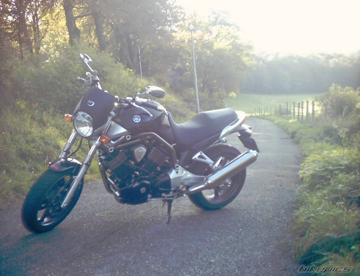 2004 YAMAHA BULLDOG | Picture 347015 motorcycle photo