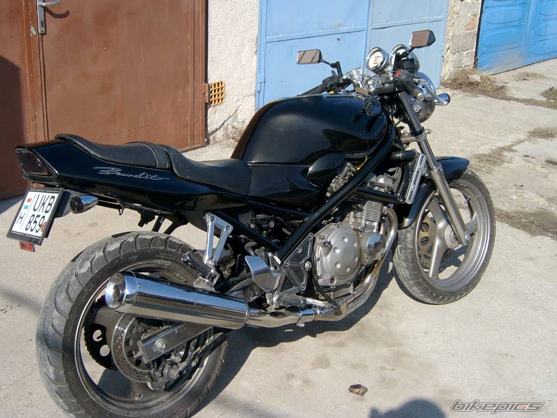 1993 SUZUKI BANDIT 250 | Picture 347347 motorcycle photo