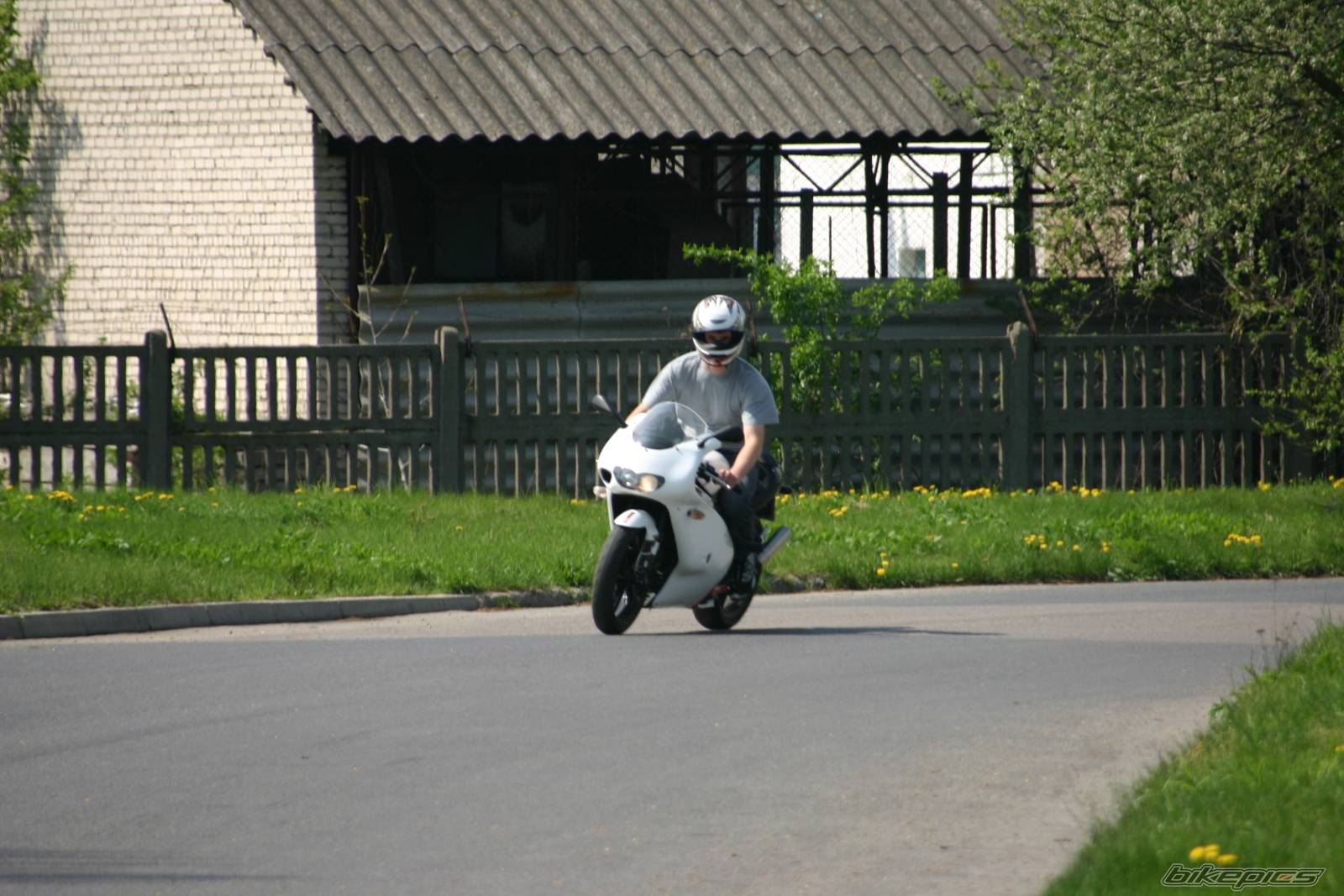 2004 APRILIA RS 125 | Picture 347361 motorcycle photo