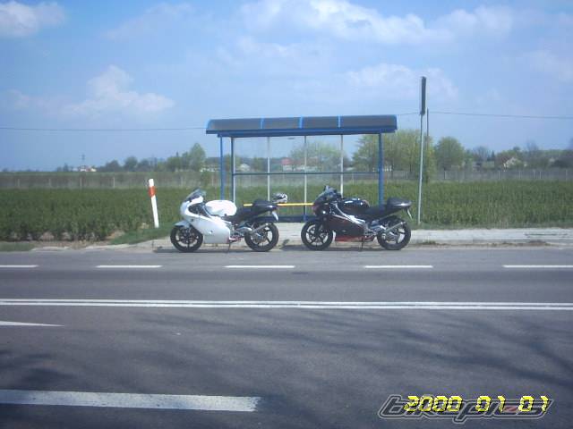 2004 APRILIA RS 125 | Picture 347365 motorcycle photo