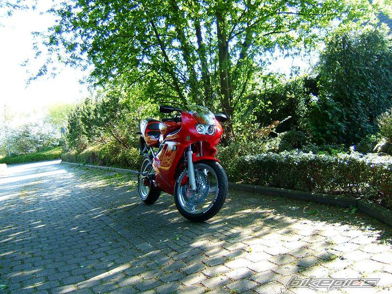 2005 SACHS XTC RACING | Picture 347518 motorcycle photo