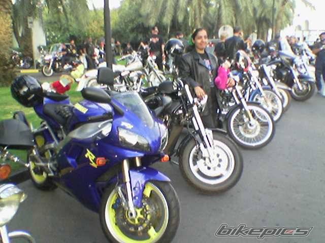 2001 YAMAHA YZF R1 | Picture 347841 motorcycle photo