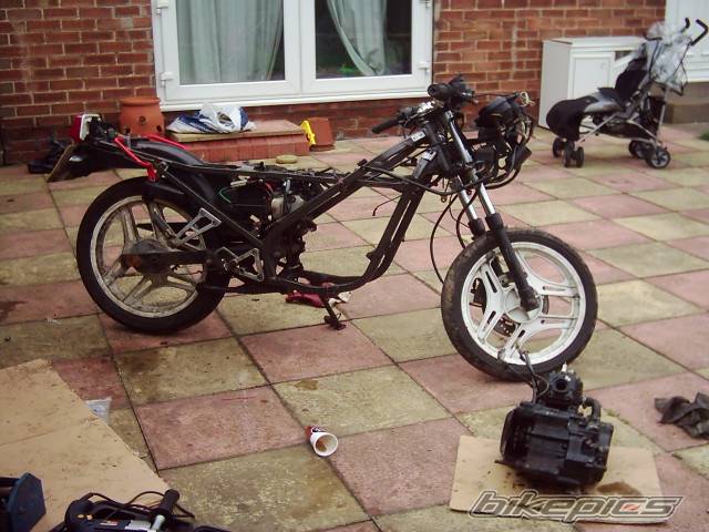 1991 HONDA NS 125 | Picture 348443 motorcycle photo