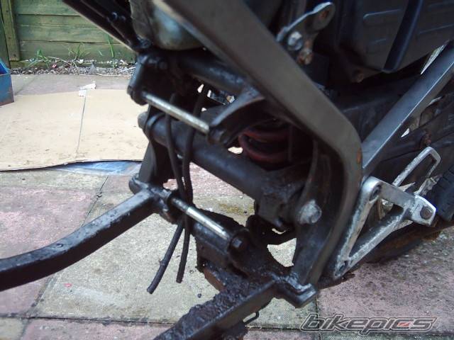 1991 HONDA NS 125 | Picture 348457 motorcycle photo