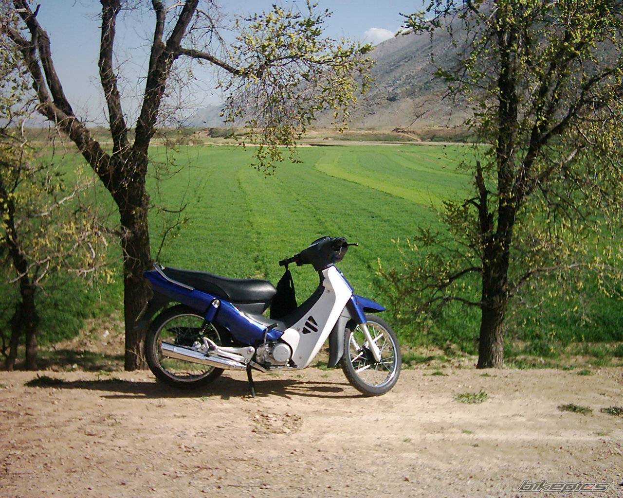 2005 MODENAS KRISS II | Picture 348560 motorcycle photo