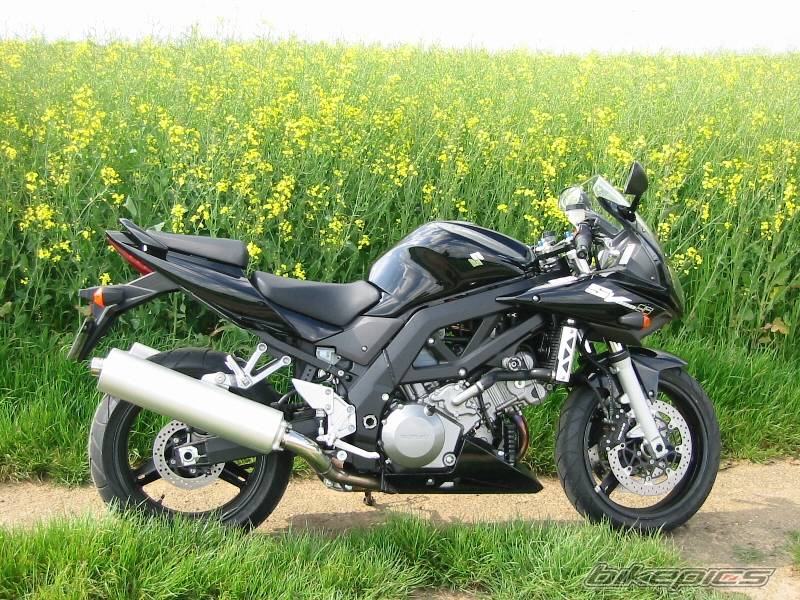 2005 SUZUKI SV 1000 S | Picture 348721 motorcycle photo